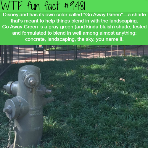 ugly wtf facts - Wtf fun fact Disneyland has its own color called "Go Away Green"a shade that's meant to help things blend in with the landscaping. Go Away Green is a graygreen and kinda bluish shade, tested and formulated to blend in well among almost an