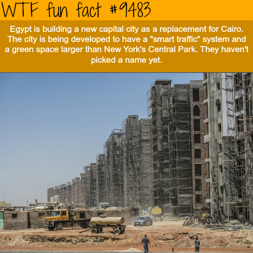 Wtf fun fact Egypt is building a new capital city as a replacement for Cairo. The city is being developed to have a "smart traffic" system and a green space larger than New York's Central Park. They haven't picked a name yet.