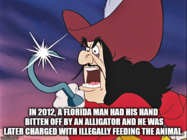 cartoon - In 2012. A Florida Man Had His Hand Bitten Off By An Alligator And He Was Later Charged With Tillegally Feeding The Animal imgflip.com