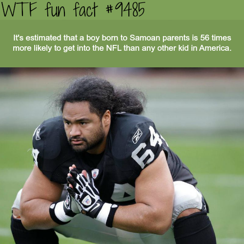 samoan kid - Wtf fun fact It's estimated that a boy born to Samoan parents is 56 times more ly to get into the Nfl than any other kid in America. X