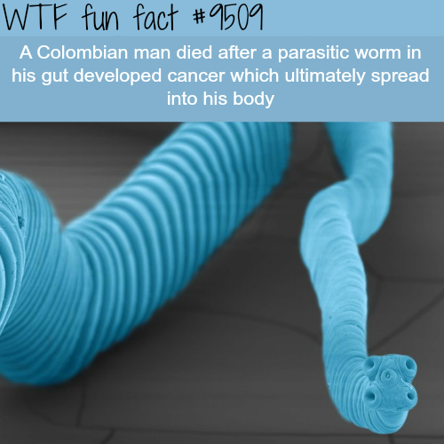 27 Fun Facts for your Trivial Pursuits