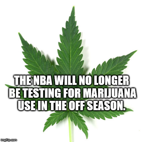 leaf - The Nba Will No Longer Be Testing For Marijuana Use In The Off Season. Bom