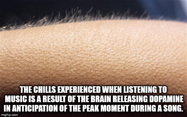parade - The Chills Experienced When Listening To Music Is A Result Of The Brain Releasing Dopamine In Anticipation Of The Peak Moment During A Song. imgflip.com