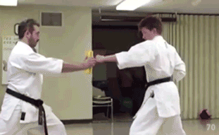 karate fails