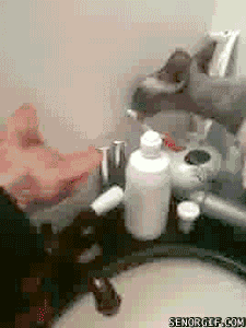 caturday gif of a cat licking a toothbrush