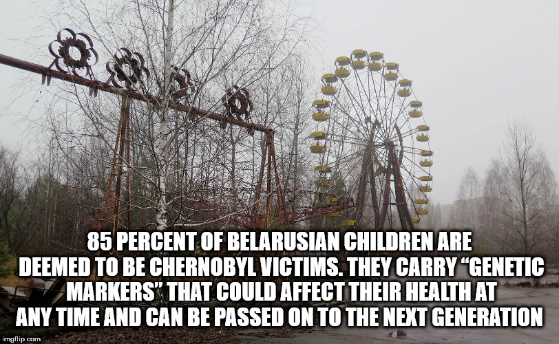 tree - 85 Percent Of Belarusian Children Are Deemed To Be Chernobyl Victims. They Carry "Genetic Markers" That Could Affect Their Health At Any Time And Can Be Passed On To The Next Generation imgflip.com