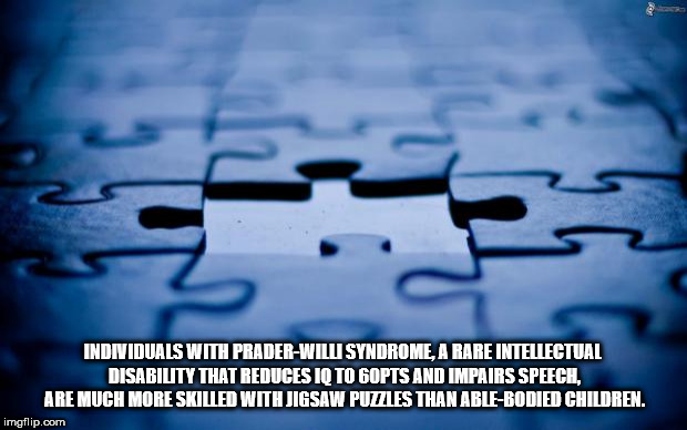 puzzle facebook cover - Individuals With PraderWill Syndrome, A Rare Intellectual Disability That Reduces To To 6OPTS And Impairs Speech Are Much More Skilled With Jigsaw Puzzles Than AbleBodied Children. imgflip.com