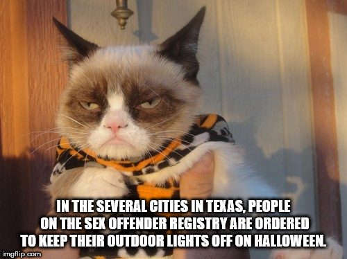 cat halloween meme - In The Several Cities In Texas, People On The Sex Offender Registry Are Ordered To Keep Their Outdoor Lights Off On Halloween imgflip.com