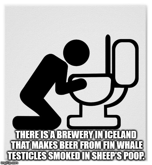 human behavior - There Is A Brewery In Iceland That Makes Beer From Fin Whale Testicles Smoked In Sheep'S Poop. Bom