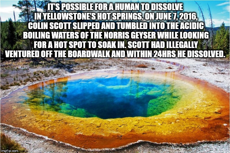 morning glory pool - N Its Possible For A Human To Dissolve In Yellowstone'S Hot Springs. On , Colin Scott Slipped And Tumbled Into The Acidic Boiling Waters Of The Norris Geyser While Looking For A Hot Spot To Soak In. Scott Had Illegally Ventured Off Th