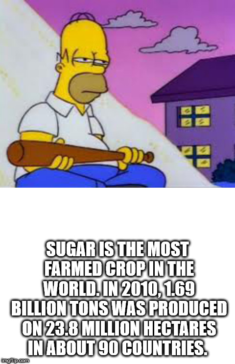 strong must protect the sweet - Sugar Is The Most Farmed Crop In The World. In 2010, 1.69 Billion Tons Was Produced On 23.8 Million Hectares In ABOUT90 Countries imgiip.com