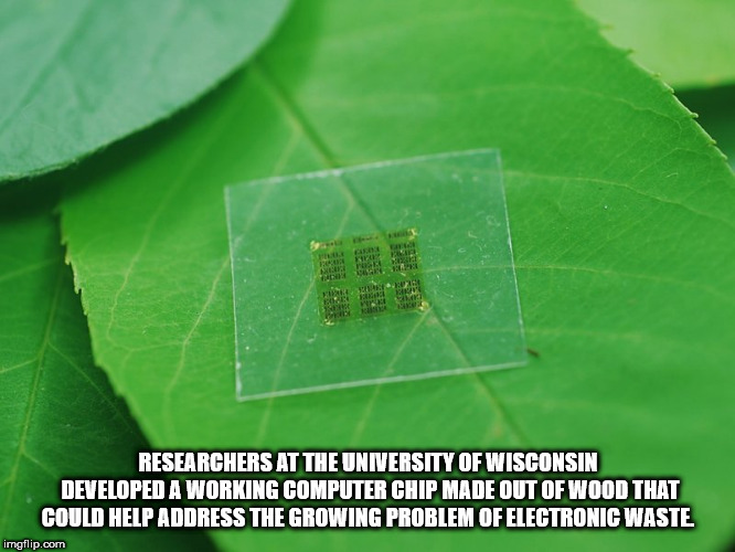 leaf - Researchers At The University Of Wisconsin Developed A Working Computer Chip Made Out Of Wood That Could Help Address The Growing Problem Of Electronic Waste imgflip.com