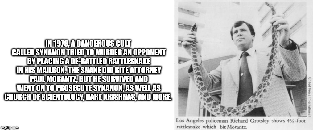 human behavior - In 1978. A Dangerous Cult Called Synanon Tried To Murder An Opponent By Placing A DeRatitled Rattlesnake In His Mailbox The Snake Did Bite Attorney Paul Morantz, But He Survived And Went On To Prosecute Synanon. As Well As Church Of Scien