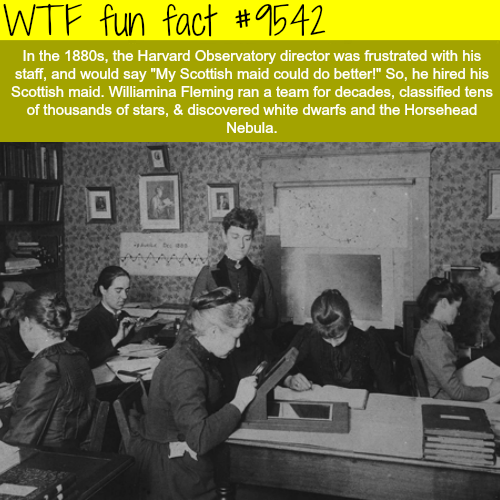 harvard computers - Wtf fun fact In the 1880s, the Harvard Observatory director was frustrated with his staff, and would say "My Scottish maid could do better!" So, he hired his Scottish maid. Williamina Fleming ran a team for decades, classified tens of 