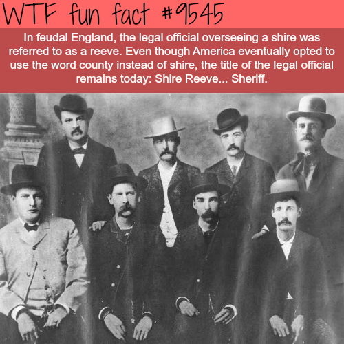 Wtf fun fact In feudal England, the legal official overseeing a shire was referred to as a reeve. Even though America eventually opted to use the word county instead of shire, the title of the legal official remains today Shire Reeve... Sheriff.