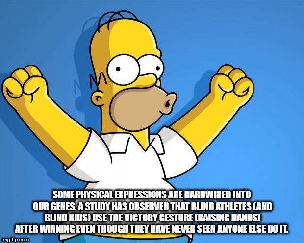 Some Physical Expressions Are Hardwired Into Our Genes. A Study Has Observed That Blind Athletes And Blind Kids Use The Victory Gesture Craising Hands After Winning Even Though They Have Never Seen Anyone Else Doit imgflip.com