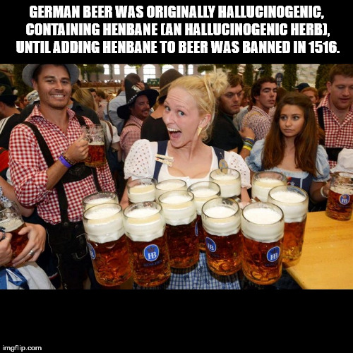 german beer meme - German Beer Was Originally Hallucinogenic, Containing Henbane Can Hallucinogenic Herb, Until Adding Henbane To Beer Was Banned In 1516. imgflip.com