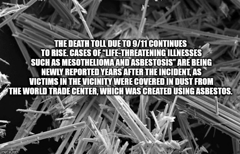 asbestos fiber - The Death Toll Due To 911 Continues To Rise. Cases Of LifeThreatening Illnesses Such As Mesothelioma And Asbestosis" Are Being Newly Reported Years After The Incident, As Victims In The Vicinity Were Covered In Dust From The World Trade C