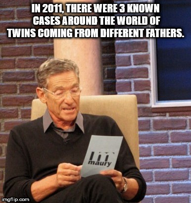 maury povich meme blank - In 2011, There Were 3 Known Cases Around The World Of Twins Coming From Different Fathers. maury imgflip.com