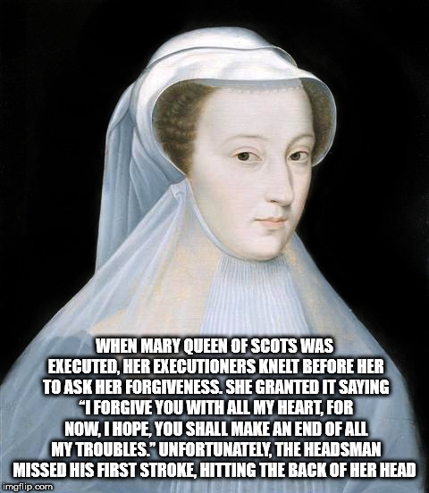 head - When Mary Queen Of Scots Was Executed, Her Executioners Knelt Before Her To Ask Her Forgiveness. She Granted It Saying "I Forgive You With All My Heart, For Now. I Hope You Shall Make An End Of All My Troubles." Unfortunately, The Headsman Missed H