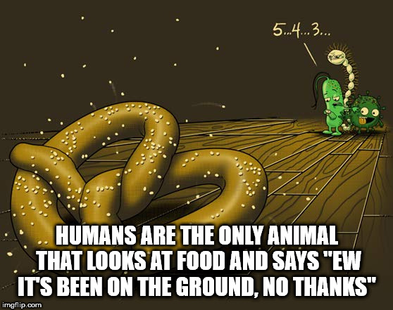 serpent - 5...4...3... Humans Are The Only Animal That Looks At Food And Says "Ew It'S Been On The Ground, No Thanks" imgflip.com