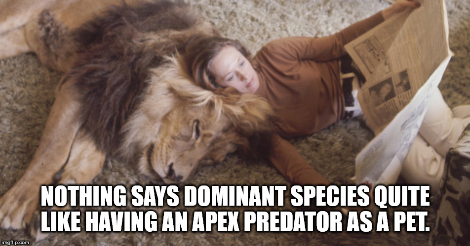 melanie griffith lion - Nothing Says Dominant Species Quite Having An Apex Predator As A Pet. imgflip.com