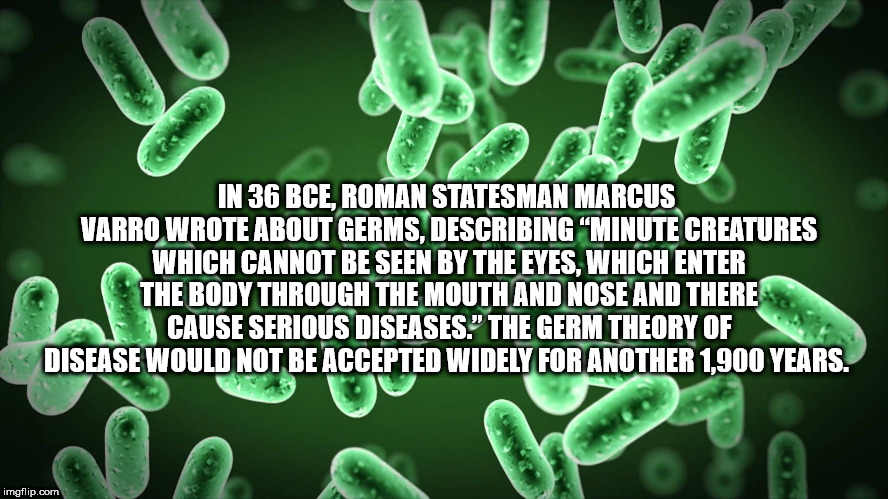 microbiology name - In 36 Bce, Roman Statesman Marcus Varro Wrote About Germs, Describing Minute Creatures Which Cannot Be Seen By The Eyes, Which Enter The Body Through The Mouth And Nose And There Cause Serious Diseases." The Germ Theory Of Disease Woul