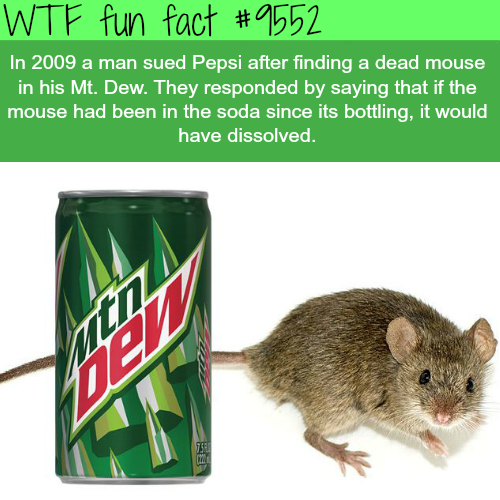 mus musculus - Wtf fun fact In 2009 a man sued Pepsi after finding a dead mouse in his Mt. Dew. They responded by saying that if the mouse had been in the soda since its bottling, it would have dissolved.