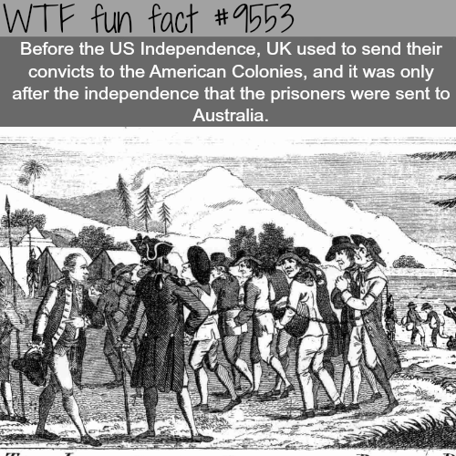 penal colony australia - Wtf fun fact Before the Us Independence, Uk used to send their convicts to the American Colonies, and it was only after the independence that the prisoners were sent to Australia.