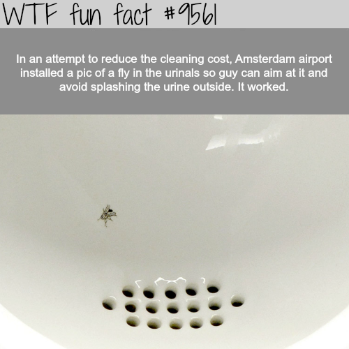 fun facts about cleaning - Wtf fun fact In an attempt to reduce the cleaning cost, Amsterdam airport installed a pic of a fly in the urinals so guy can aim at it and avoid splashing the urine outside. It worked.