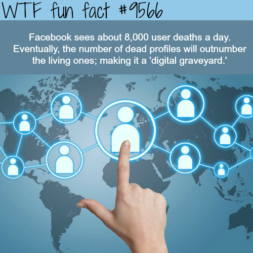 wtf fun fact - Wtf fun fact Facebook sees about 8,000 user deaths a day. Eventually, the number of dead profiles will outnumber the living ones; making it a 'digital graveyard.'