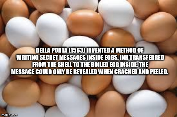 chicken eggs brown and white - Della Porta 1563 Invented A Method Of Writing Secret Messages Inside Eggs. Ink Transferred From The Shell To The Boiled Egg Inside The Message Could Only Be Revealed When Cracked And Peeled. imgflip.com
