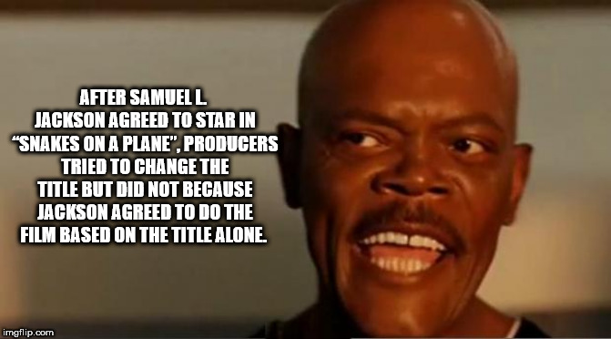 samuel jackson snakes on a plane - After Samuell Jackson Agreed To Star In "Snakes On A Plane", Producers Tried To Change The Title But Did Not Because Jackson Agreed To Do The Film Based On The Title Alone. imgflip.com