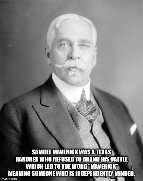 gentleman - Samuel Maverick Was A Texas Rancher Who Refused To Brand His Cattle. Which Led To The Word "Maverick" Meaning Someone Who Is Independently Minded. imgflip.com