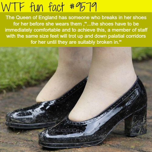 queen elizabeth shoes - Wtf fun fact The Queen of England has someone who breaks in her shoes for her before she wears them,"...the shoes have to be immediately comfortable and to achieve this, a member of staff with the same size feet will trot up and do