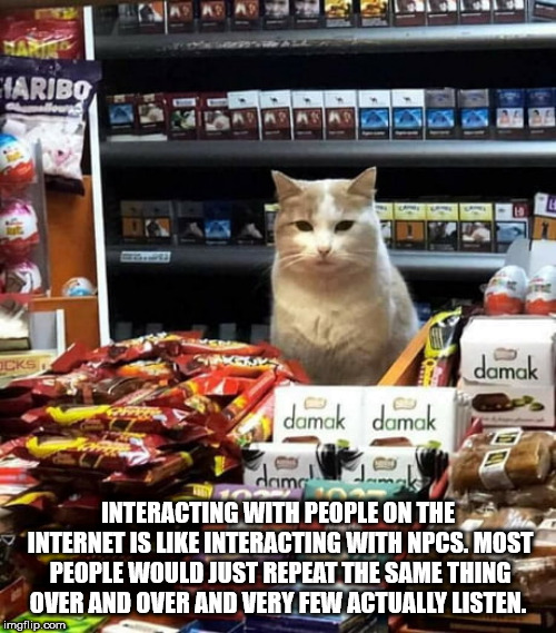 khajiit has wares if you have coin - Iaribo Es damak damak damak ak dam Interacting With People On The Internet Is Interacting With Npcs. Most People Would Just Repeat The Same Thing Over And Over And Very Few Actually Listen. imgflip.com