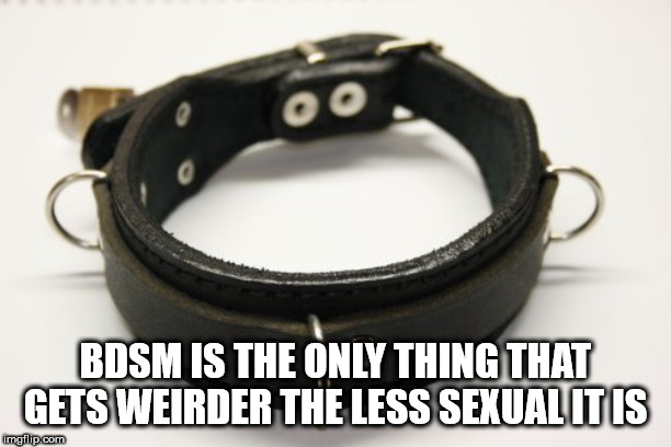 dog collar - Oo Bdsm Is The Only Thing That Gets Weirder The Less Sexual It Is imgflip.com