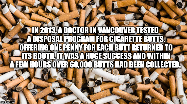 used cigarettes - In 2013, A Doctor In Vancouver Tested A Disposal Program For Cigarette Butts. Offering One Penny For Each Butt Returned Tot Its Booth. It Was A Huge Success And Within A Few Hours Over 60,000 Butts Had Been Collected. imgflip.com