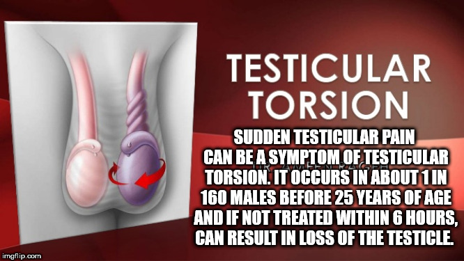 ear - Testicular Torsion Sudden Testicular Pain Can Be A Symptom Of Testicular Torsion. It Occurs In About 1 In 160 Males Before 25 Years Of Age And If Not Treated Within 6 Hours. Can Result In Loss Of The Testicle. imgflip.com