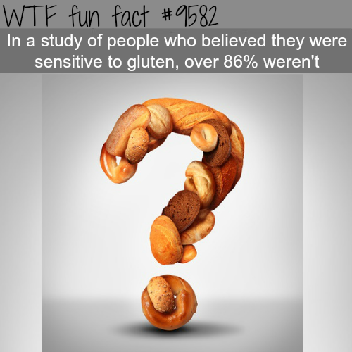 bread question mark - Wtf fun fact In a study of people who believed they were sensitive to gluten, over 86% weren't