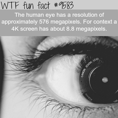 photographs of memories - Wtf fun fact The human eye has a resolution of approximately 576 megapixels. For context a 4K screen has about 8.8 megapixels. Zoom Leng Canon Zo