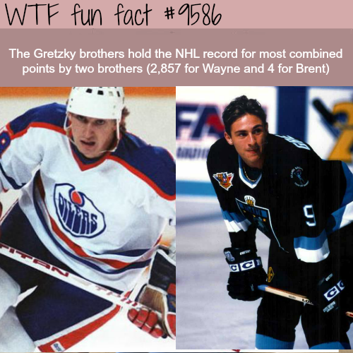 wayne gretzky brother - Wtf fun fact The Gretzky brothers hold the Nhl record for most combined points by two brothers 2,857 for Wayne and 4 for Brent