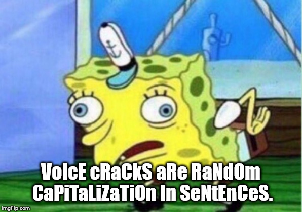 shower thought it's what my character would do - VolcE cRacks aRe Radom Capitalization In SeNtEnCes. imgflip.com