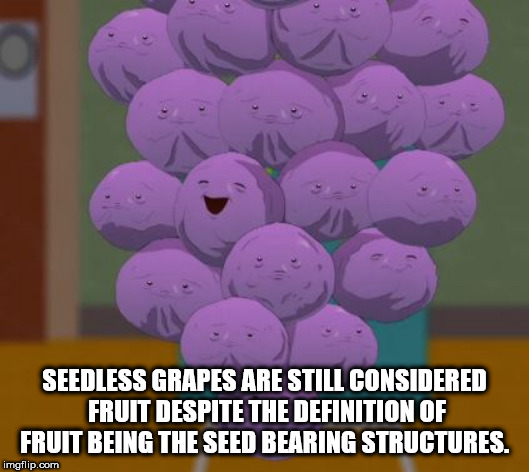 shower thought random funny - Seedless Grapes Are Still Considered Fruit Despite The Definition Of Fruit Being The Seed Bearing Structures. imgflip.com