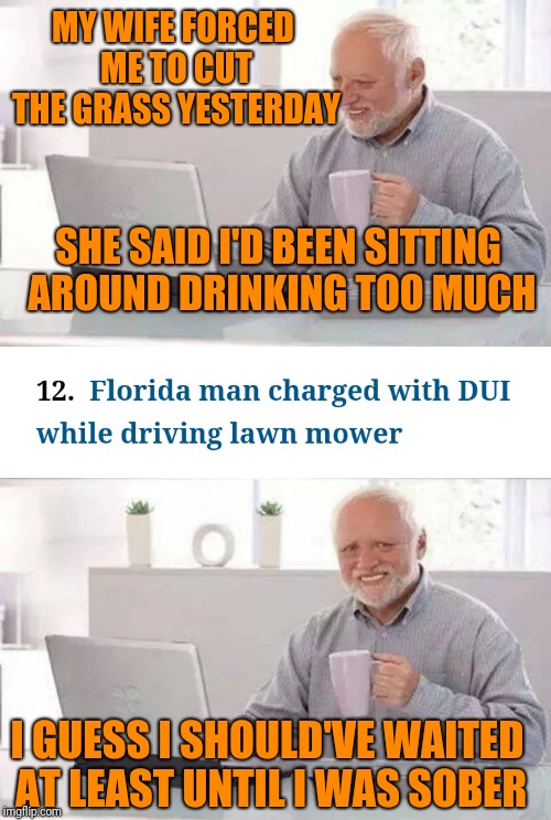 meme - photo caption - My Wife Forced Me To Cut The Grass Yesterday She Said Id Been Sitting Around Drinking Too Much 12. Florida man charged with Dui while driving lawn mower I Guess Should Ve Waited At Least Untili Was Sober Imgflip.com