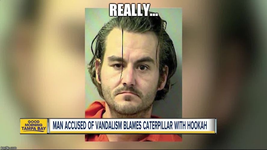 meme - photo caption - Really... Good Morning Tampa Bay more Man Accused Of Vandalism Blames Caterpillar With Hookah imgflip.com