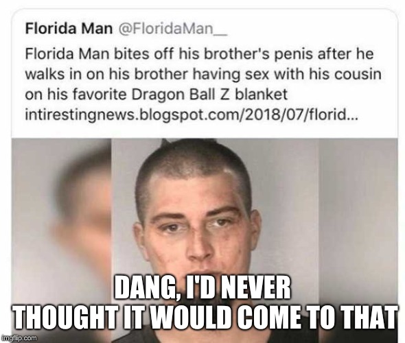 meme - florida man meme - Florida Man Florida Man bites off his brother's penis after he walks in on his brother having sex with his cousin on his favorite Dragon Ball Z blanket intirestingnews.blogspot.com201807florid... Dang, I'D Never Thought It Would 