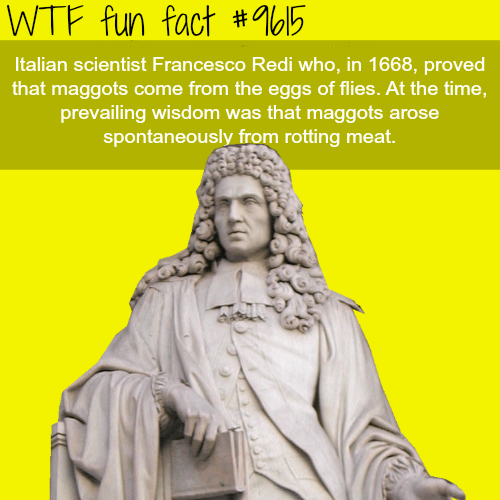 40 Facts That'll Swell Your Brain in Your Skull