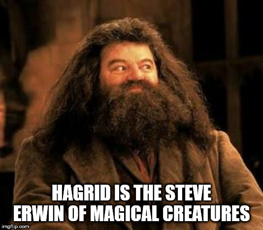 harry potter hagrid - Hagrid Is The Steve Erwin Of Magical Creatures imgflip.com