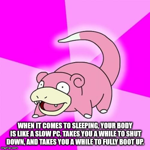slowpoke meme pokemon go - When It Comes To Sleeping, Your Body Is A Slow Pc, Takes You A While To Shut Down, And Takes You A While To Fully Boot Up. imgflip.com